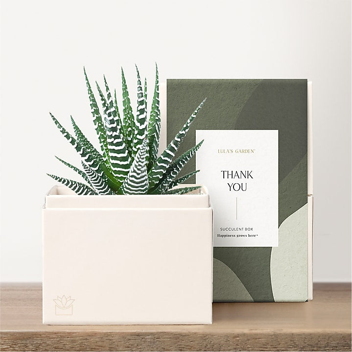 product image for Lula's Garden - Thank You Petite Gardens