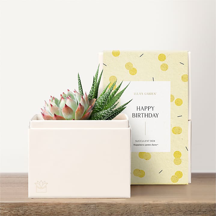 product image for Lula's Garden - Birthday Petite Gardens