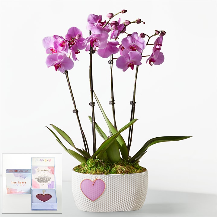 product image for Pink Orchid Garden with Grandma Heart Keepsake