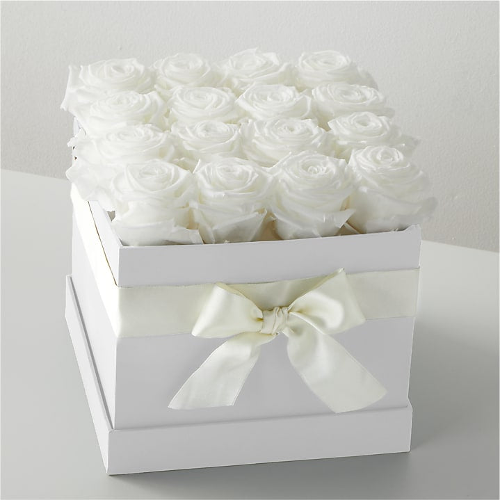 product image for White Forever Roses