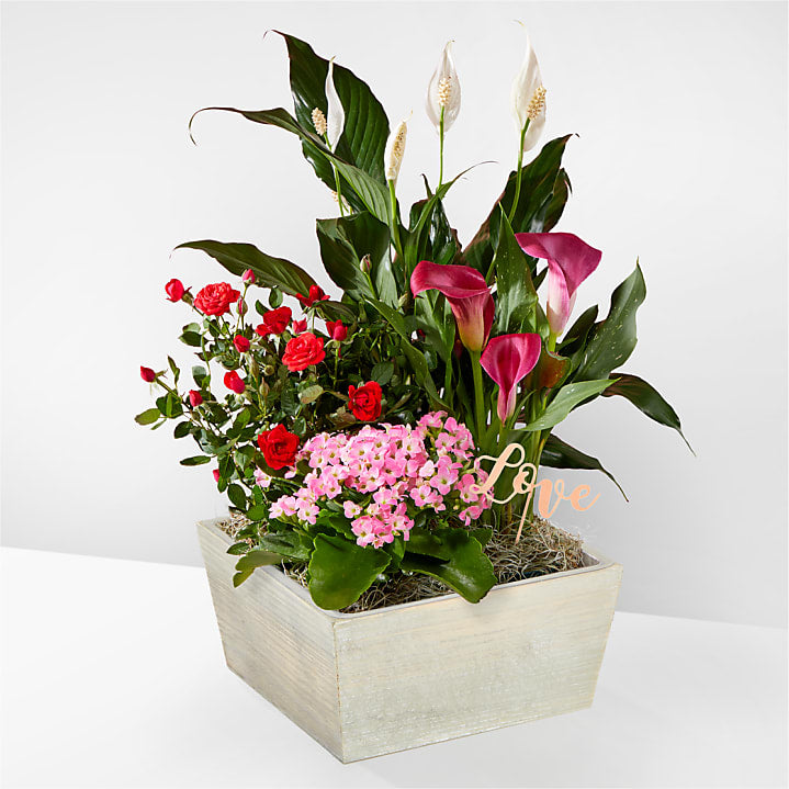 product image for Love You More Garden