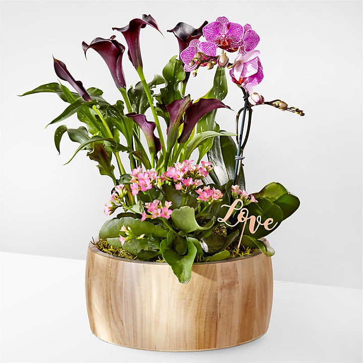 product image for Let Love Shine Garden